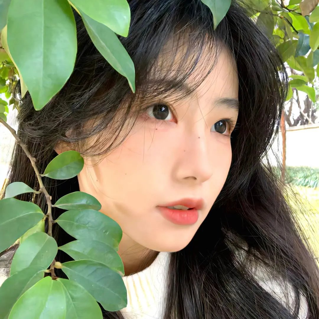 小绿和小蓝第五季