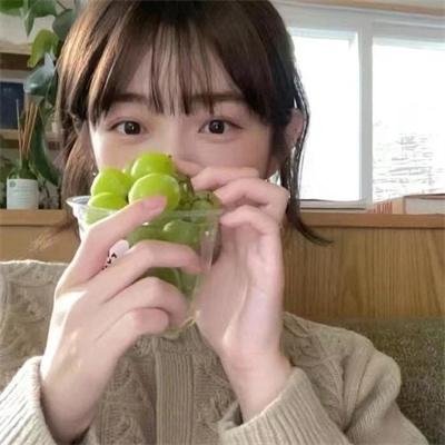 汉化日记第一季